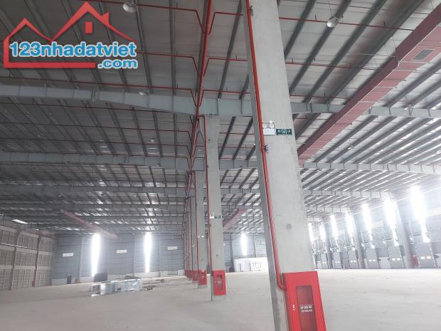 Cho thuê kho xưởng 10.000m2 mới xây KCN Thuận Đạo, huyện Bến Lức Long An