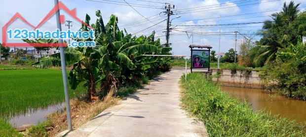 Bán lô đất view lúa ngay trung tâm cánh đồng An Mỹ, Cẩm Châu, Hội An. - 1