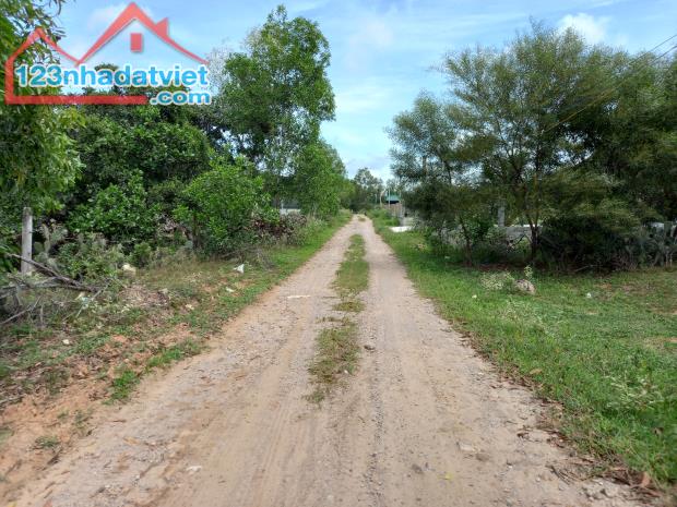 Đại Hạ Giá-Nhiều đất Sào-Gần Hồ Quang Cảnh,gần DT715-Thiện Nghiệp-Phan Thiết