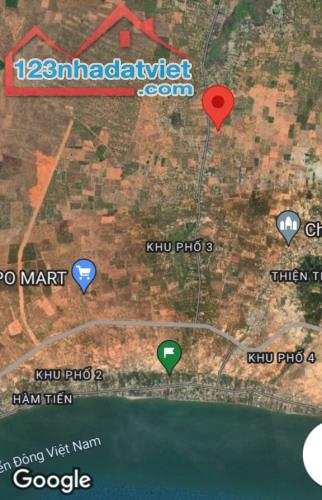 Đại Hạ Giá-Nhiều đất Sào-Gần Hồ Quang Cảnh,gần DT715-Thiện Nghiệp-Phan Thiết - 3