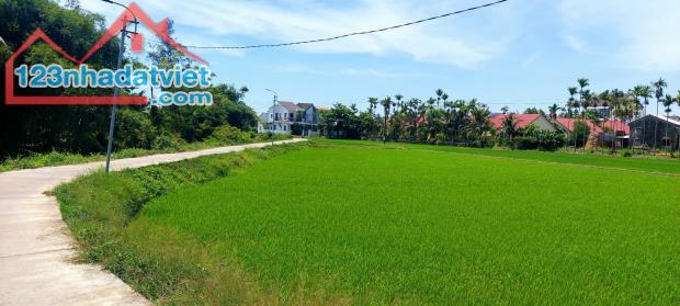 Bán nhanh lô đất 140m view lúa ngay trung tâm An Mỹ, Cẩm Châu, Hội An