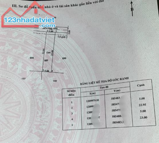 Bán đất tặng căn nhà nát đường số 92,Tân Phú Trung, Củ Chi, 700triệu sổ hồng riêng - 4