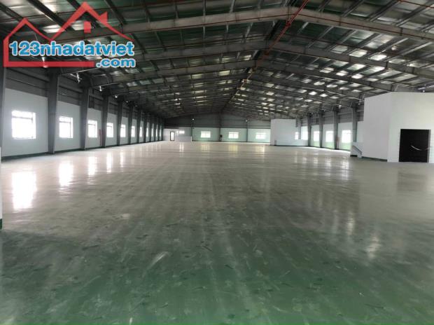 CHO THUÊ KHO XƯỞNG ĐẸP 1500M2 TẠI ĐỨC HÒA, LONG AN