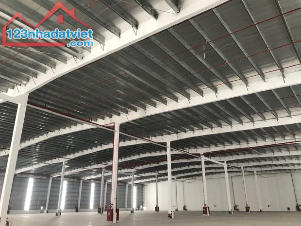 Cho thuê xưởng 8.000m2 Khu Công nghiệp Nam Sơn – Hạp Lĩnh, Bắc Ninh - 2