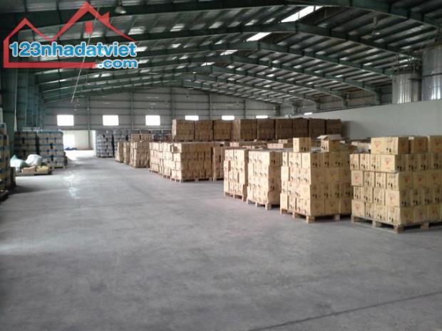 Cho thuê kho xưởng 3000m2 - 11.000m2 KCN Mỹ Xuân, Phú Mỹ, Bà Rịa Vũng Tàu