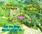 Đất rẫy 9500m2 chỉ 550tr tại thành phố Gia Nghĩa tỉnh Đắk Nông