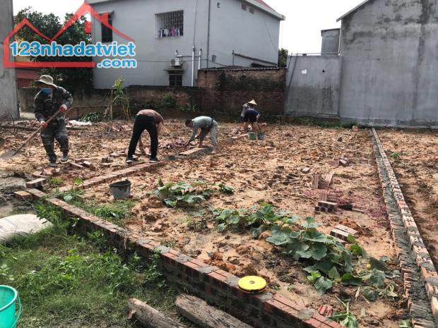 Thông báo bán cắt lỗ sâu lô đất để lấy tiền làm ăn tại Tân Lương,Hiền Ninh,Sóc Sơn,HN - 1