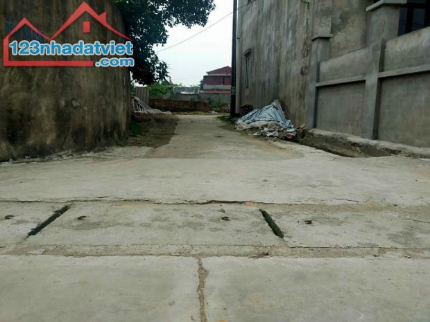 Thông báo bán cắt lỗ sâu lô đất để lấy tiền làm ăn tại Tân Lương,Hiền Ninh,Sóc Sơn,HN - 2