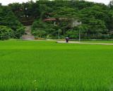Bán mảnh đất vườn ở Phú Xuân, tp.Thái Bình