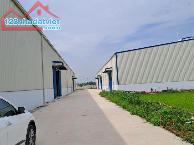 Chuyển nhượng nhà xưởng 10.000m2 khu công nghiệp vân trung Bắc Giang - 2