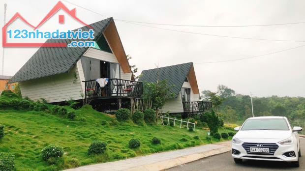 BÁN 168M2 ĐẤT THỔ CƯ LỘC NAM - BẢO LỘC GIÁ 550TRIỆU XÂY DỰNG HƠN 20 HOMESTAY VÀ LỀU TRẠI - 4