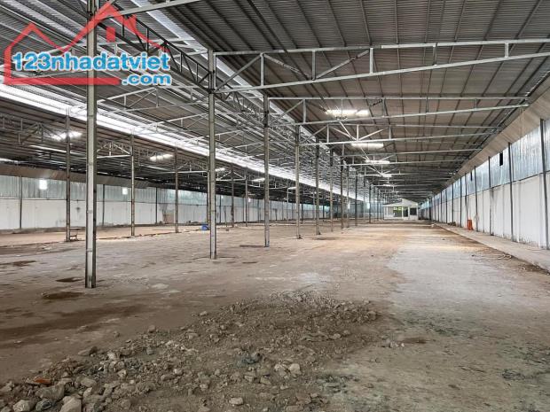 CHO THUÊ KHO XƯỞNG HẬU GIANG 8.000m2 - CÁCH TRUNG TÂM CT 12km - 1