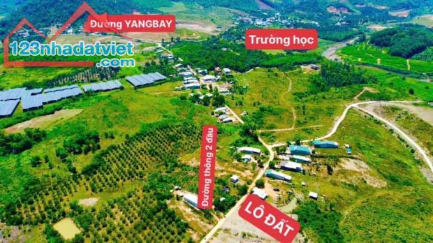 Bán đất Khánh Phú giá rẻ mặt tiền đường liên thôn 8m sát trục đường Hương Lộ 62 - Yangbay - 3