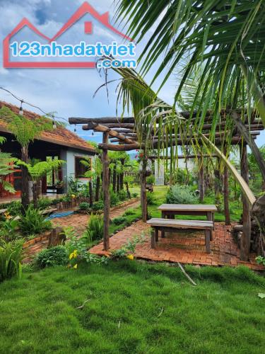 ❤️Bán nhà vườn 15x38m đường Liên Thôn 8 xã Cư Ebur Buôn Ma Thuột 2tỷxxxtr 🌴 - 3