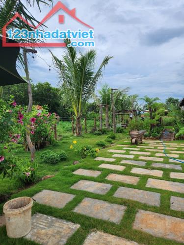 ❤️Bán nhà vườn 15x38m đường Liên Thôn 8 xã Cư Ebur Buôn Ma Thuột 2tỷxxxtr 🌴 - 4