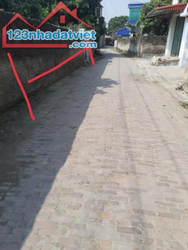 Bán đất tại thụy lôi tiên lữ hưng yên