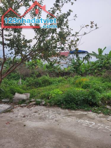 Bán đất ở đường Máng Nước gần chợ Vĩnh Khê An Đồng, 100m2, 2,7 tỷ - 3