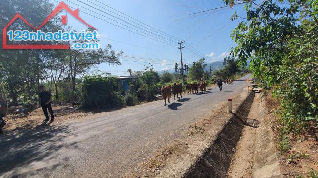 Bán lô đất thổ cư thôn Đông xã Sông Cầu Huyện Khánh Vĩnh 357m2 và 361m2 - 3