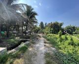 Đất Vườn Dừa View Rạch, Tại Bình Nhâm, Thuận An, Cách Sông SG 300m
