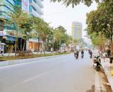 💥 Bán nhà Mặt phố Nguyễn Hoàng Tôn, 118m2 2T MT 4m, giá siêu rẻ chỉ 14.5 tỷ 💥