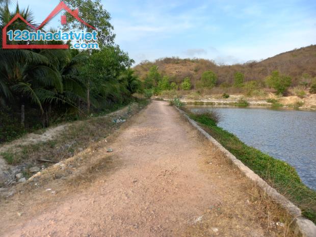 Giá Rẻ Nhất-Siêu phẩm tuyệt đẹp-MT 40m,View Hồ,Núi-Thiện Nghiệp-Phan Thiết-2.990m2 - 1