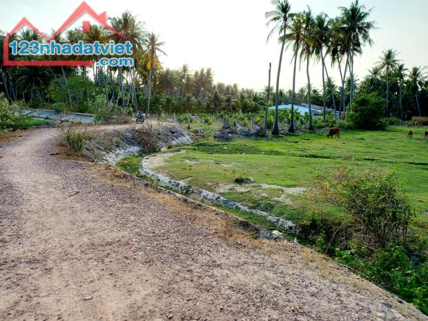 Giá Rẻ Nhất-Siêu phẩm tuyệt đẹp-MT 40m,View Hồ,Núi-Thiện Nghiệp-Phan Thiết-2.990m2 - 2