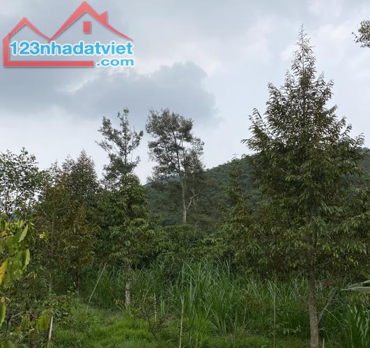 Đất bán đường phan huy ích lộc châu bảo lộc 1ty/3600m2