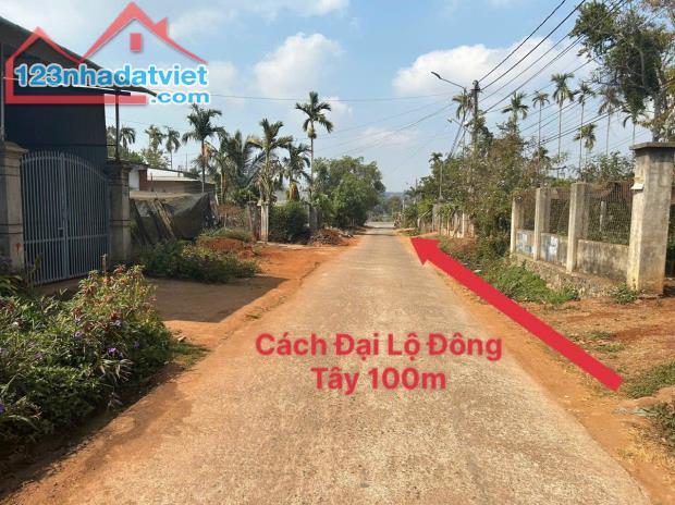 Cần Bán Lô đất 8x26 ngay Đại Lộ Đông Tây, và QL27 - Hòa Thắng - BMT - 2