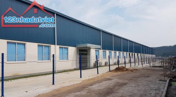 Cho thuê kho nhà xưởng Khu vực Bến Cát từ 500 m2 , 1.500m2 , 3.000m2 , 5.000m2 , 10.000m2 - 1