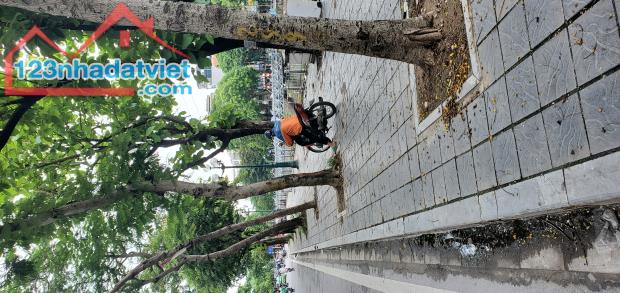 Bán nhà Kim Ngưu , 38m2x5T , 3,3 tỷ, , cách đường lớn 50m , kinh doanh dễ
