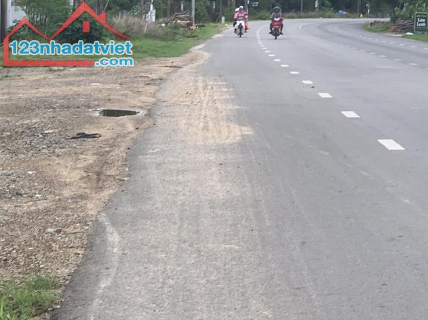 Bán 1100m2 đất NGỘP MT Nguyễn Chí Thanh, Thị xã LaGi chưa qua đầu tư - 2