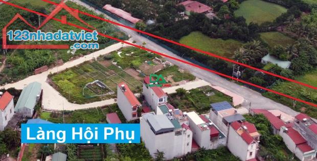 Bán đất đấu giá X1 thôn Hội Phụ xã Đông Hội huyện Đông Anh giáp Vinhomes Cổ Loa