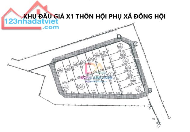 Bán đất đấu giá X1 thôn Hội Phụ xã Đông Hội huyện Đông Anh giáp Vinhomes Cổ Loa - 1