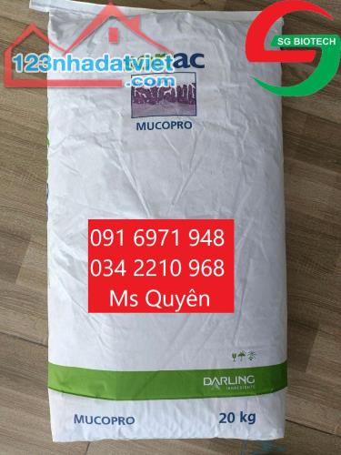 Mua bán đạm thủy phân Hà Lan Mucopro powder cho vật nuôi lớn nhanh