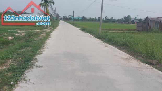 bán đất lúa 26x70m( 1820m2) giá 6 tỷ 400 triệu , Đức Hòa Thượng, Đức Hòa, Long An. - 3