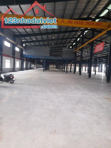 Cho thuê kho xưởng tại Thuận An 500m2 ,1.000m2 2.000m2 3.000m2 4.000m2 - 2