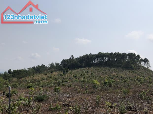 BÁN GẤP LÔ ĐẤT TRỒNG CAO SU 15,2HA TẠI XÃ HÀ MÒN HUYỆN ĐĂK HÀ TINH KON TUM - GIÁ 7,5 TỶ TL