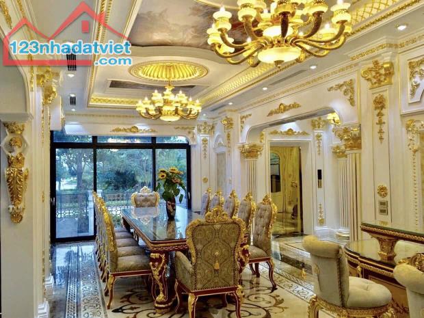 Cho thuê biệt thự Starlake Tây Hồ Tây 230m2x3T full nội thất Châu Âu, nhà mới hoàn thiện - 1