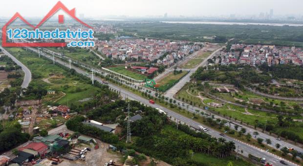 Bán đất đấu giá Thôn Đông Tàm Xá Đông Anh gần dự án Vinhomes Cổ Loa - 4