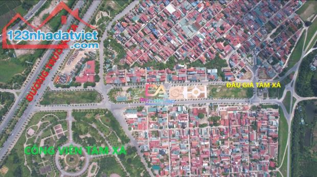 Bán đất đấu giá Thôn Đông Tàm Xá Đông Anh gần dự án Vinhomes Cổ Loa - 9