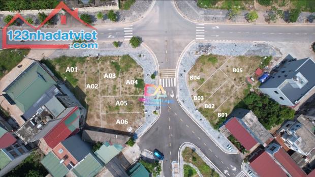 Bán đất đấu giá Thôn Đông Tàm Xá Đông Anh gần dự án Vinhomes Cổ Loa - 11