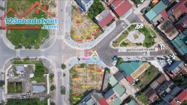 Bán đất đấu giá Thôn Đông Tàm Xá Đông Anh gần dự án Vinhomes Cổ Loa - 12