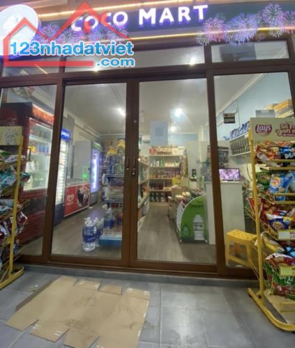 SHOPHOUSE TERRA AN HƯNG, KINH DOANH, 7 TẦNG THANG MÁY, MẶT TIỀN 6.5M, GIÁ TỐT - 3