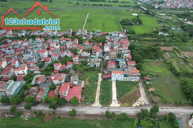 ĐẤU GIÁ ĐÌNH TRÀNG DỤC TÚ ĐÔNG ANH TRỤC KINH DOANH KINH TẾ MIỀN ĐÔNG - 3