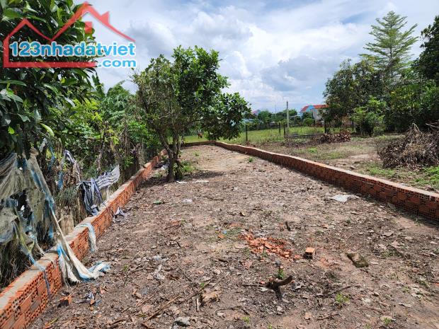 bán đất 10x30m Đức Hòa Đông, Đức Hòa, Long An, thổ cư, giá 2.5 tỷ Lh: 0786 7978 99 - 4