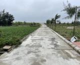 Cần bán gấp 2 lô đất đường to cách biển 30m ngay sát bãi tắm chính Quất Lâm - Nam Định