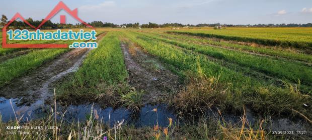 Bán gấp lô đất lúa chuyển thổ mặt tiền Đường Nguyễn Hoàng Anh giá 4,4 tỷ - 3