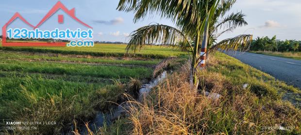 Bán gấp lô đất lúa chuyển thổ mặt tiền Đường Nguyễn Hoàng Anh giá 4,4 tỷ - 4
