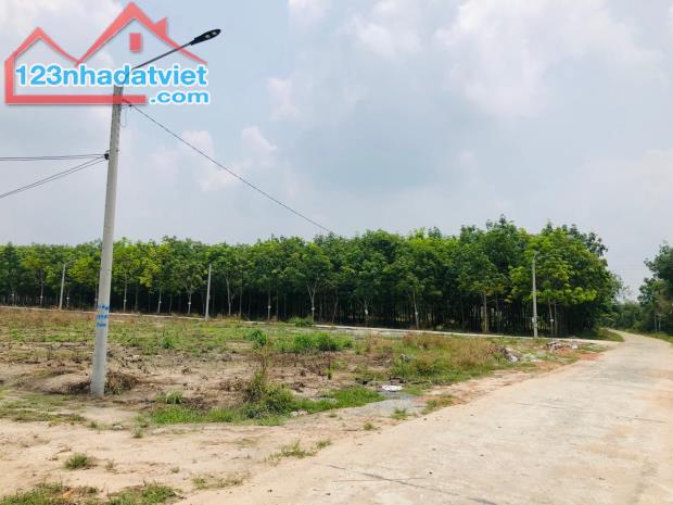 ĐẤT THỊ XÃ BÌNH LONG, 1.685M2 SỔ RIÊNG, DÂN CƯ ĐÔNG, SÁT CHỢ GIÁ 240 TRIỆU