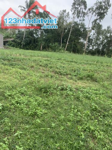 Bán đất vườn có thổ cư Tịnh Hoà Quảng Ngãi, 915m2 có 300m TC, giá chỉ hơn 1 triệu/m2 tí - 4